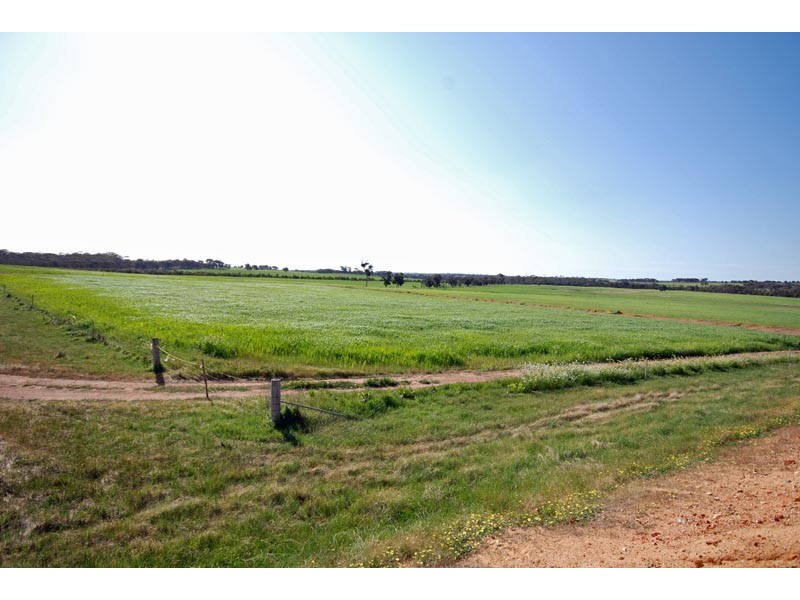 1 Short Road, Cuballing WA 6311