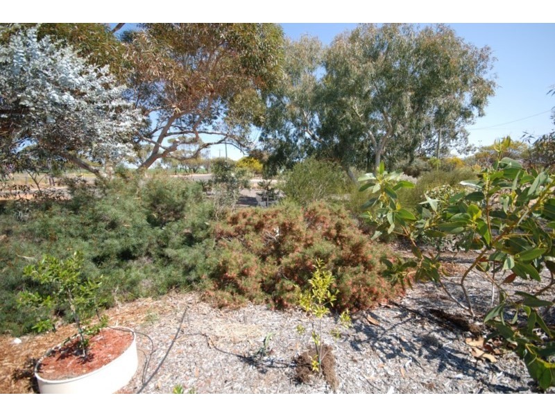 53 Collins Street, Wickepin WA 6370