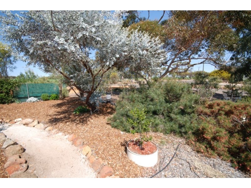 53 Collins Street, Wickepin WA 6370