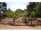 53 Collins Street, Wickepin WA 6370
