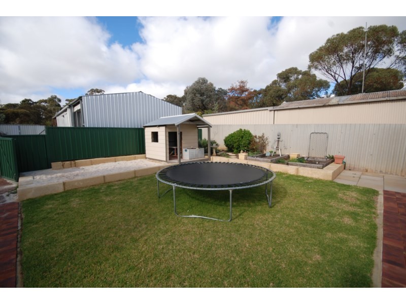 3 Gray Street, Narrogin WA 6312