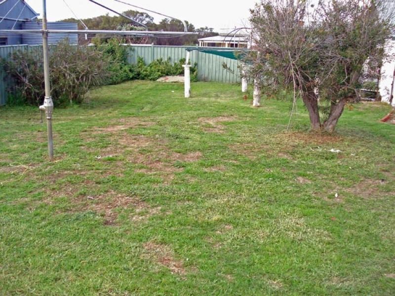 87 Narrakine Road, Narrogin WA 6312