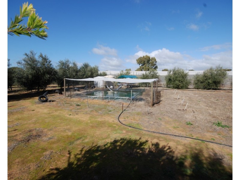 18 Kunjin Street, Corrigin WA 6375