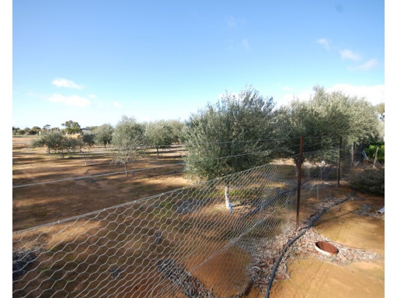 18 Kunjin Street, Corrigin WA 6375