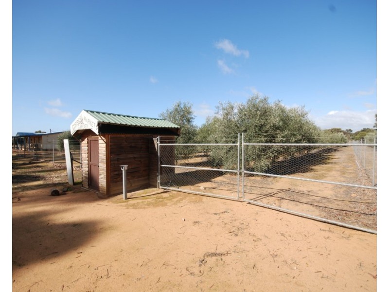 18 Kunjin Street, Corrigin WA 6375