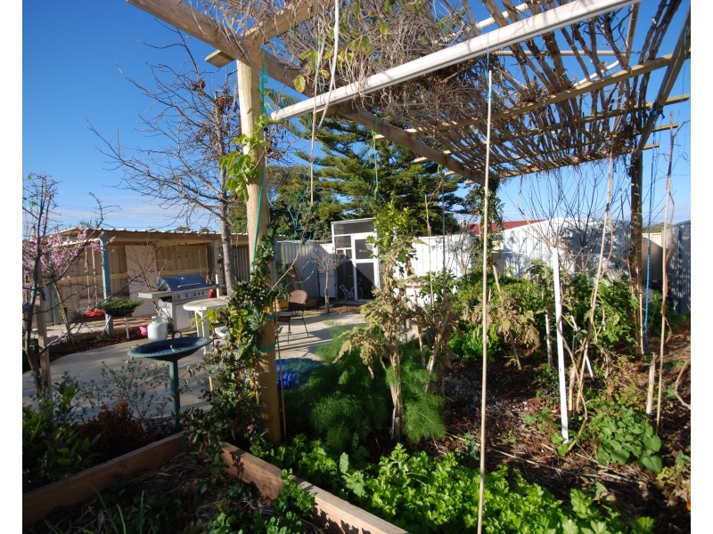 133 Federal Street, Narrogin WA 6312