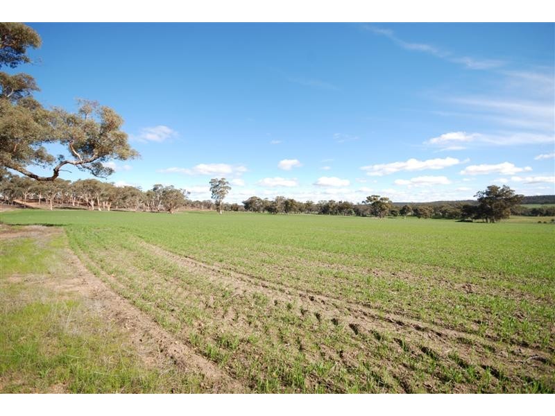 11 Tyrer Road, Brookton WA 6306
