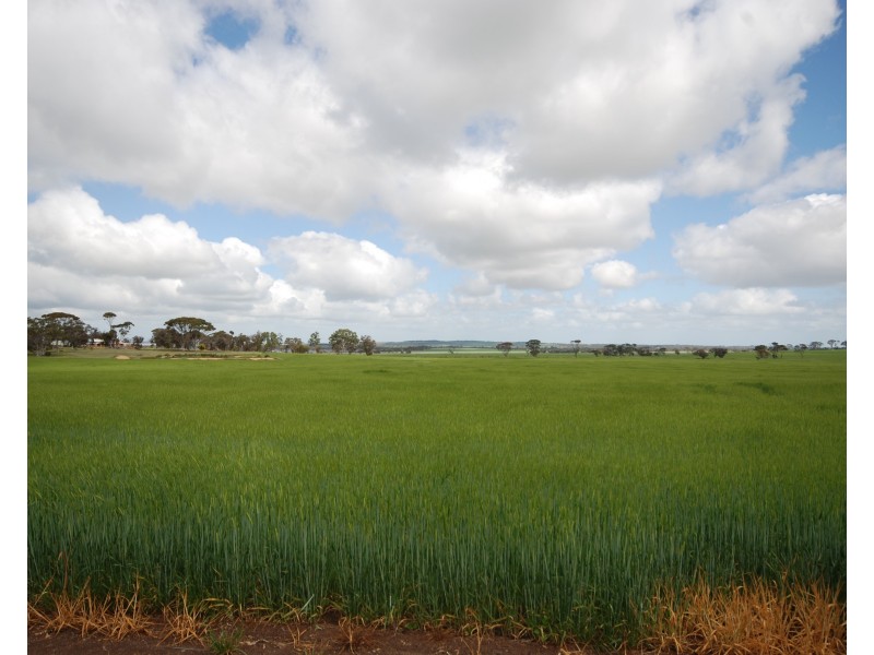 2336 Wagin Dumbleyung Road, Dumbleyung WA 6350