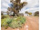 2336 Wagin Dumbleyung Road, Dumbleyung WA 6350