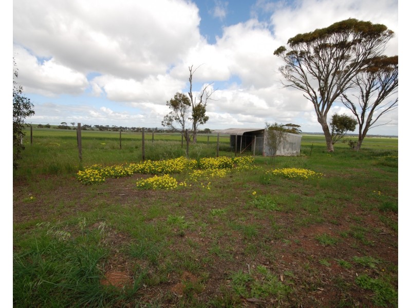 2336 Wagin Dumbleyung Road, Dumbleyung WA 6350