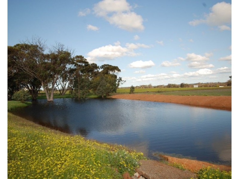 20 Yilliminning Road, Narrogin WA 6312