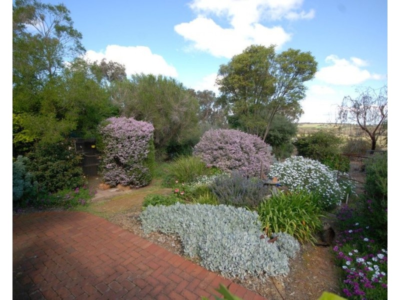 20 Yilliminning Road, Narrogin WA 6312