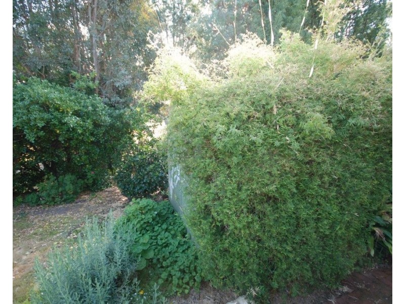 20 Yilliminning Road, Narrogin WA 6312