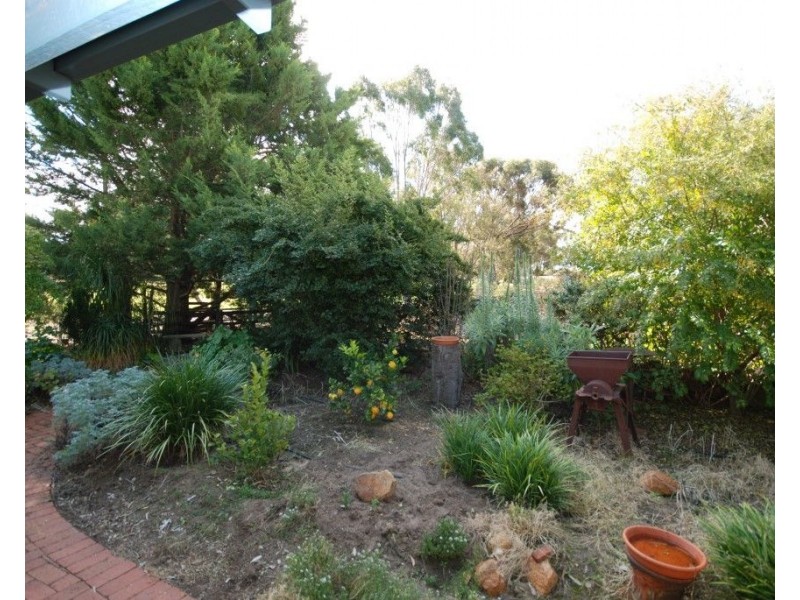 20 Yilliminning Road, Narrogin WA 6312