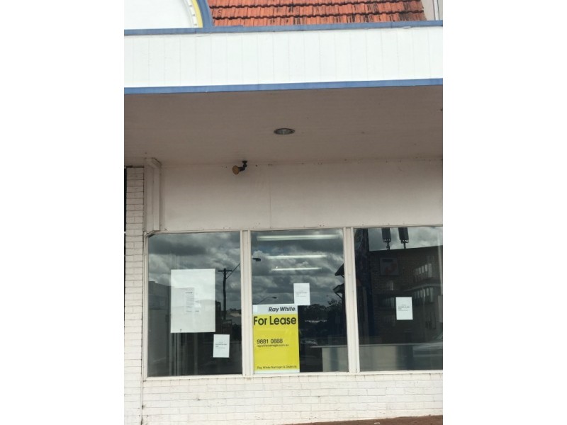 11 Fortune Street, Narrogin WA 6312