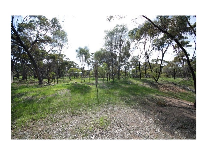 58 Pitt Street, Pingelly WA 6308