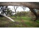 58 Pitt Street, Pingelly WA 6308