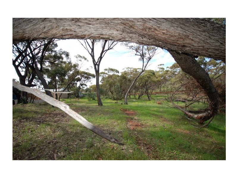 58 Pitt Street, Pingelly WA 6308