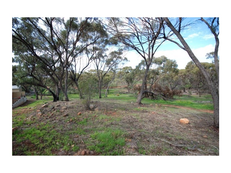 58 Pitt Street, Pingelly WA 6308