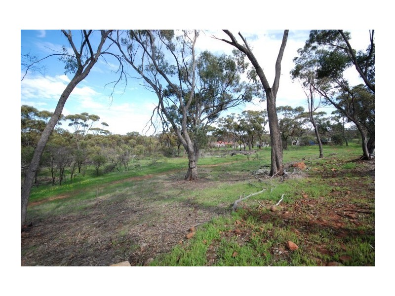 58 Pitt Street, Pingelly WA 6308