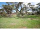58 Pitt Street, Pingelly WA 6308