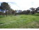 58 Pitt Street, Pingelly WA 6308