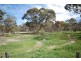 58 Pitt Street, Pingelly WA 6308