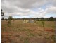 54 Lefroy Street, Brookton WA 6306