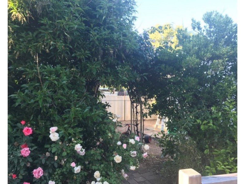 18 Sirdar Street, Wagin WA 6315