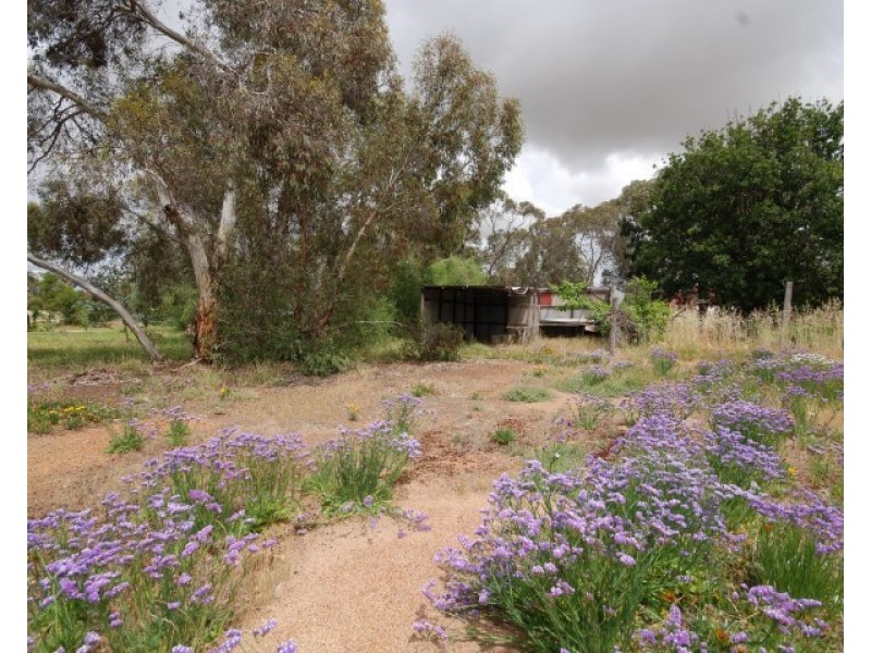 24-26 Raglan Street, Pingelly WA 6308