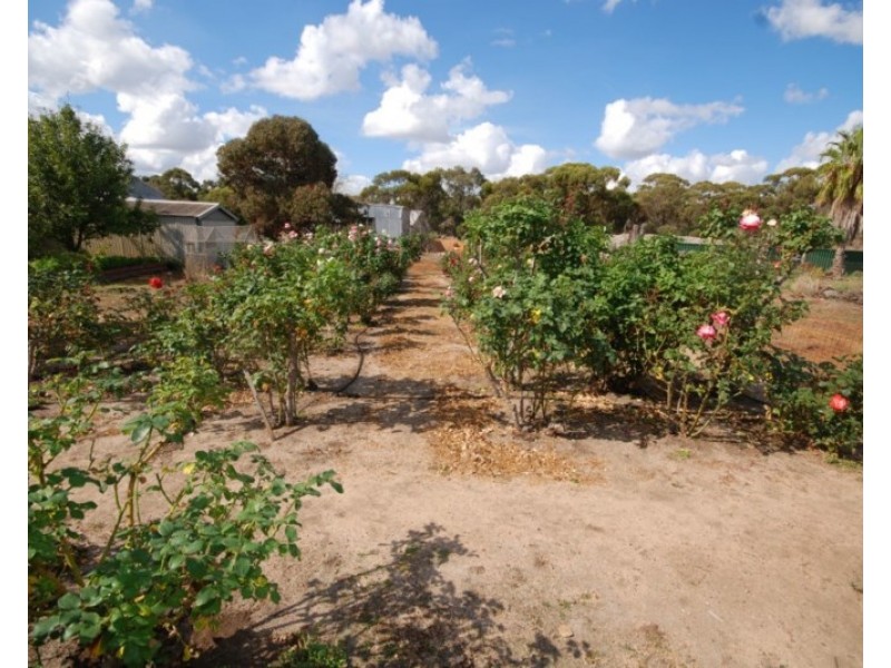 33 Felspar Street, Narrogin WA 6312