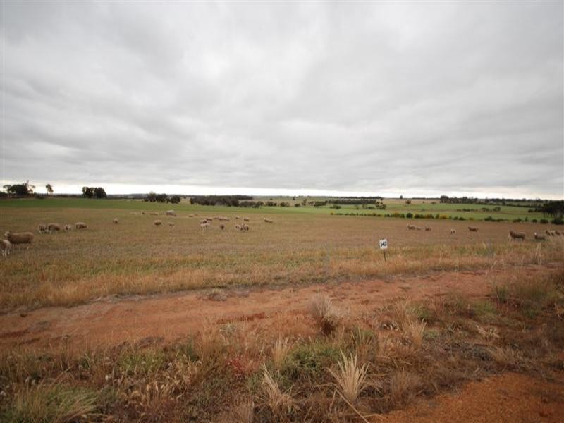 142 McDonald Road, Woodanilling WA 6316