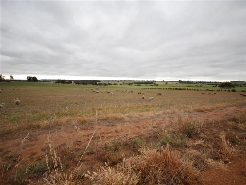 142 McDonald Road, Woodanilling WA 6316