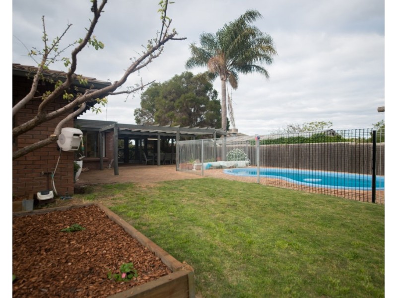 41 Felspar Street, Narrogin WA 6312