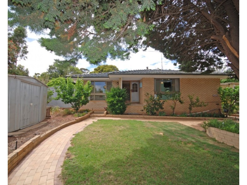 49 Havelock Street, Narrogin WA 6312