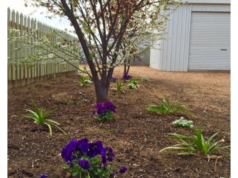 42 Ensign Street, Narrogin WA 6312