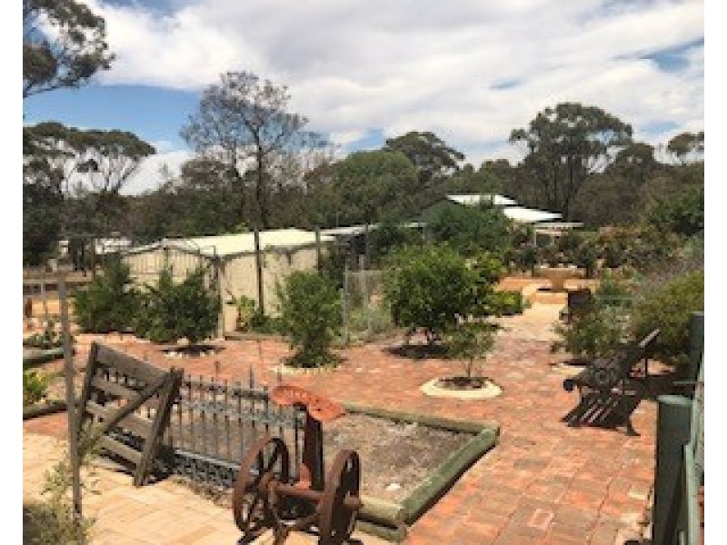 24 Balfour Street, Pingelly WA 6308