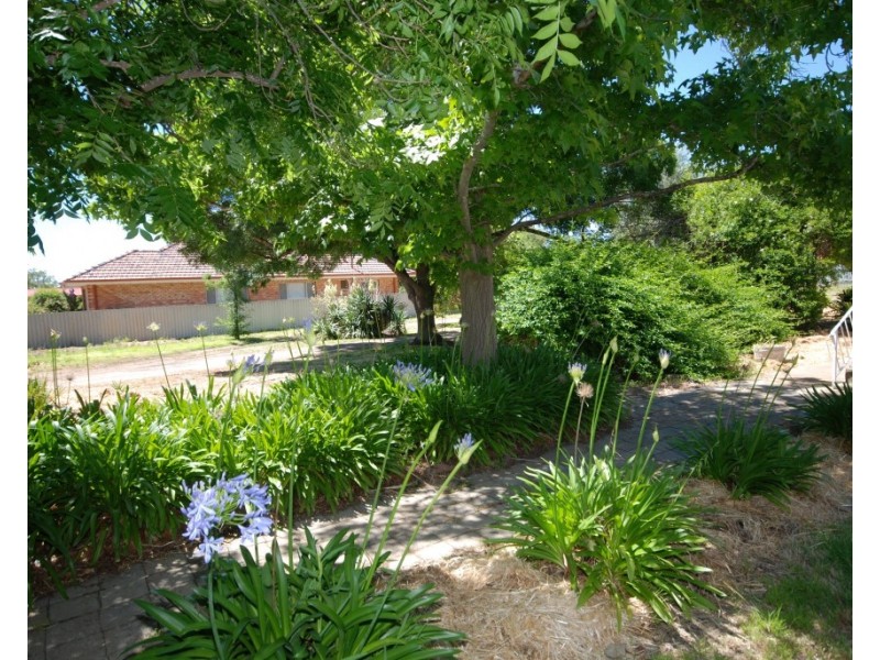 87 Clayton Road, Narrogin WA 6312