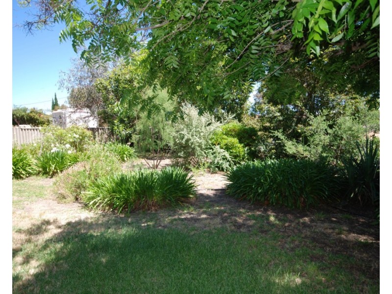 87 Clayton Road, Narrogin WA 6312