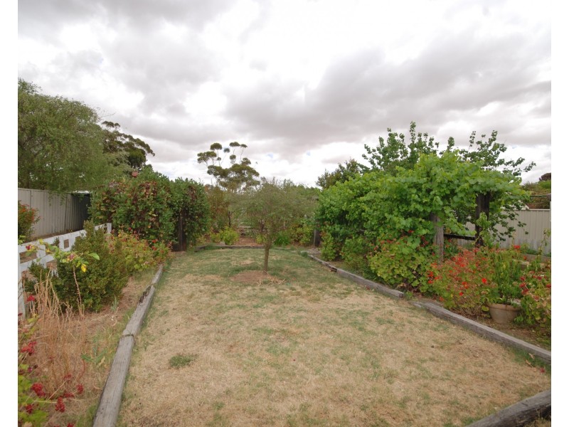 8 Urban Street, Wagin WA 6315