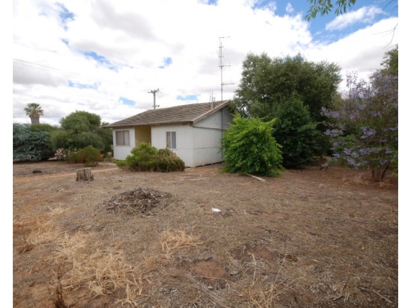 20 Harper Street, Narrogin WA 6312