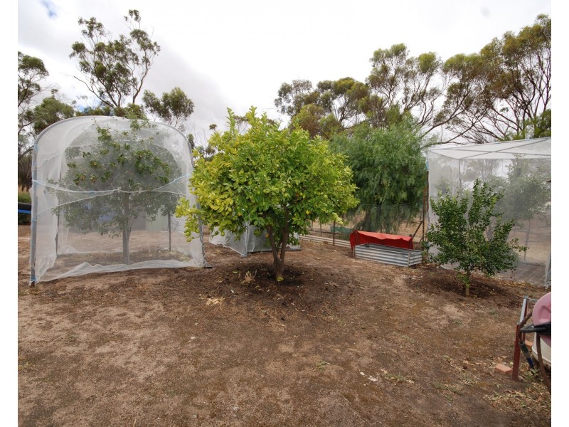 144 Narrogin Road, Williams WA 6391