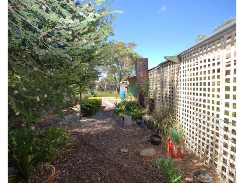 3 Havelock Street, Narrogin WA 6312