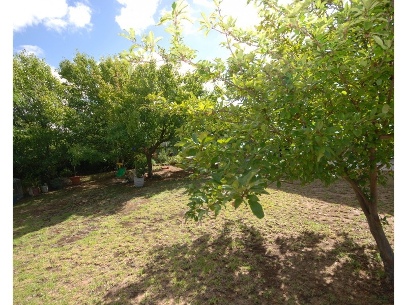 29 Havelock Street, Narrogin WA 6312