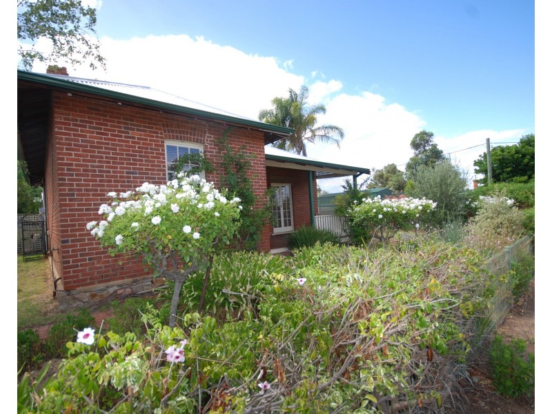 29 Havelock Street, Narrogin WA 6312