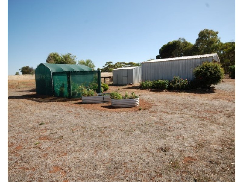 259 Bullara Street, Cuballing WA 6311