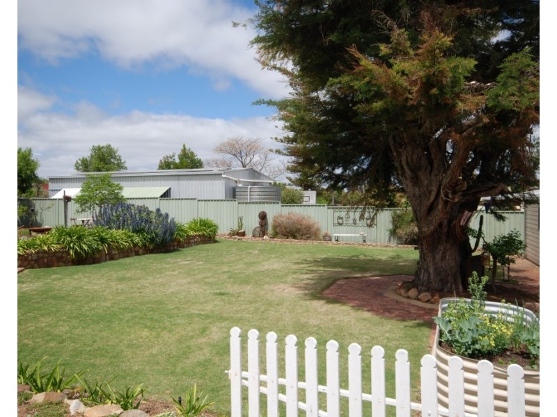 39 Garfield Street, Narrogin WA 6312