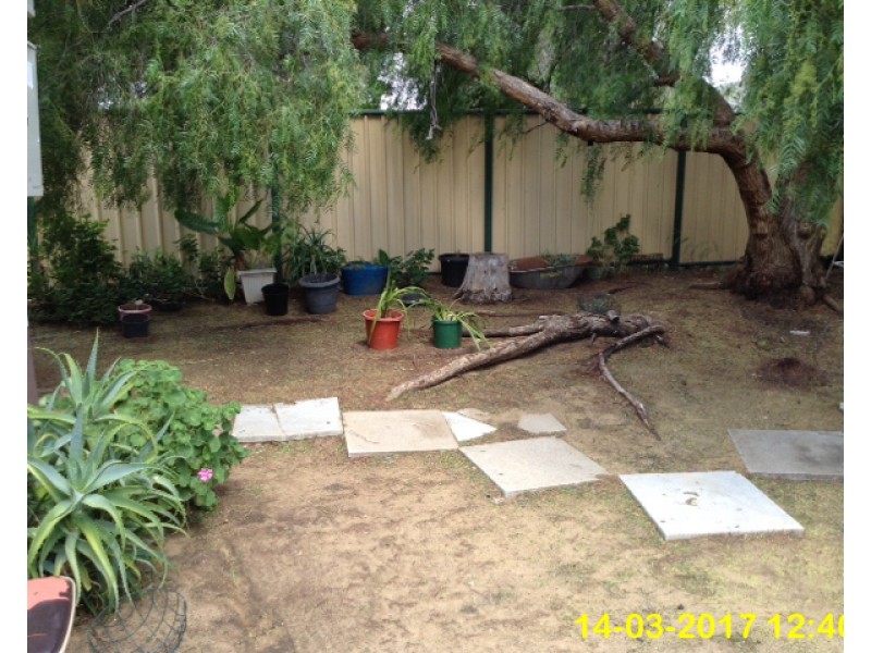 9B Bunbury Street, Narrogin WA 6312