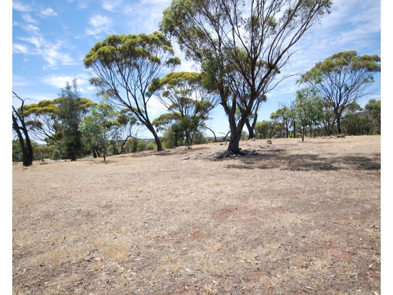 59 Antrim Street, Cuballing WA 6311