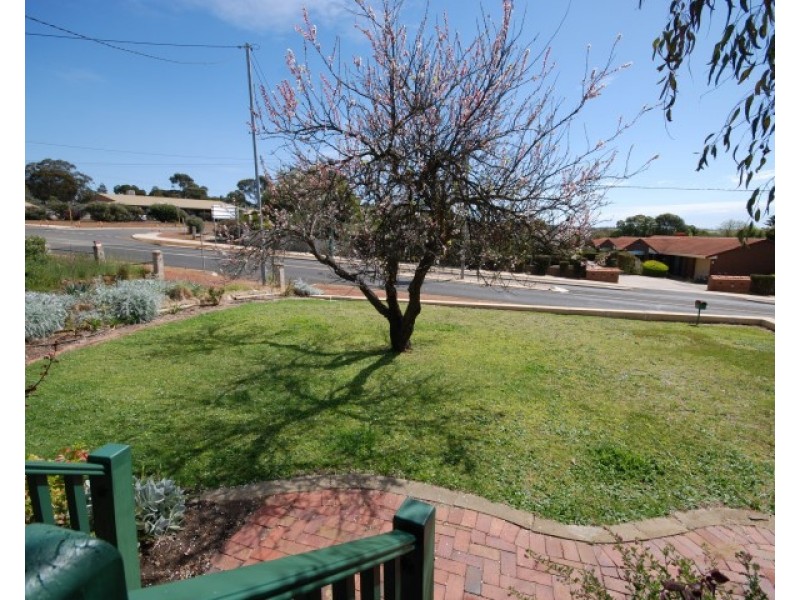 73 Williams Road, Narrogin WA 6312